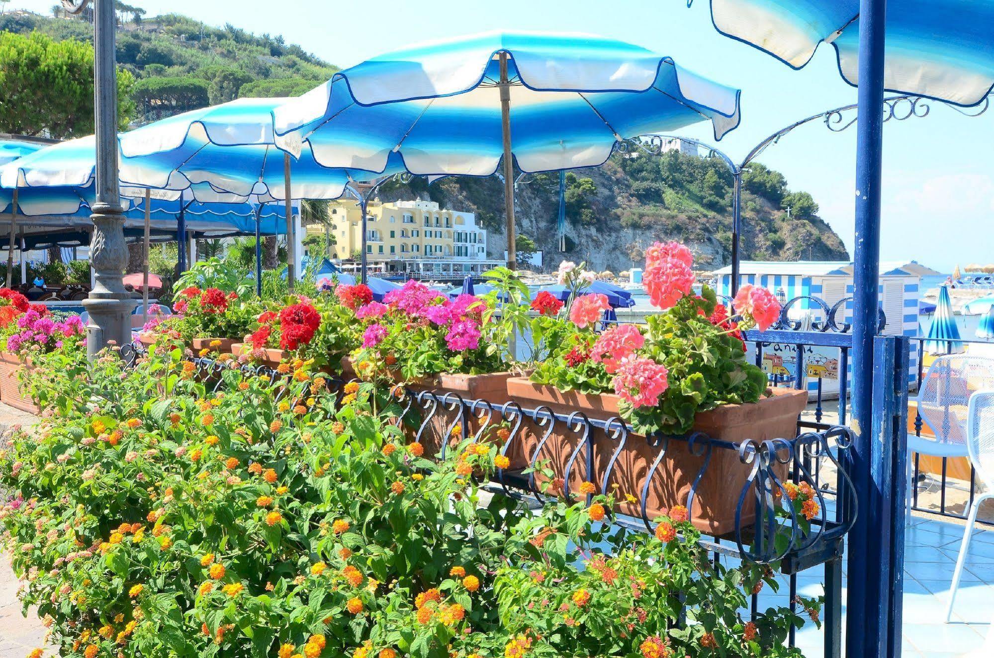 Hotel Terme Marina Lacco Ameno  Esterno foto
